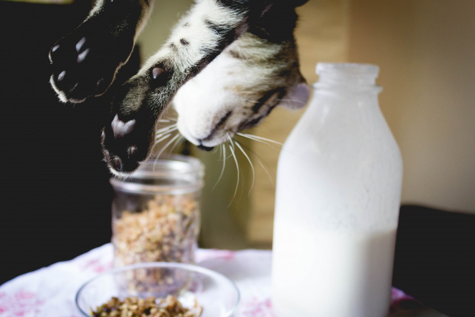 Best Buckwheat Groat Granola | SoulBeet #glutenfree